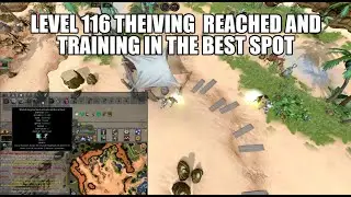 Level 116 Thieving  reached and training in the best spot | Runescape 3