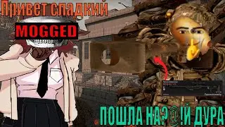 STALCRAFT Highlight №4 PTRD M +15