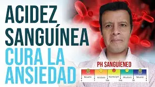 Empieza Despedirte Ansiedad Controlando Acidez Sanguínea