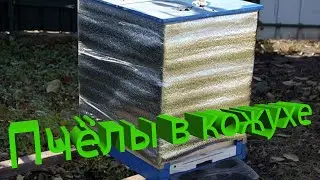 Профессор Кашковский: Пчёлы в кожухе