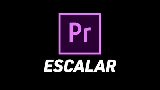 Cómo Escalar Tus Imágenes En Premiere Pro