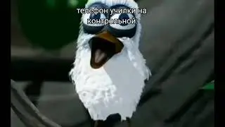 Белая птица кричит асалам алейкум не оригинал 2.0