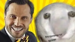 ГИГИ ЗА ШАГИ RYTP
