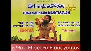 5 Most Effective Pranayamas - Basic Deep Breathing Exercises