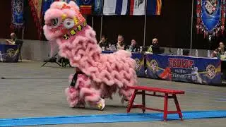USDLDF National Dragon and Lion Dance Championships 2023 cubs kids TCT Austin Texas- mua lan 4K