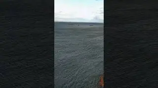 Полная версия произведения на странице канала, приятного прослушивания 💚 #2024 #камскоеустье