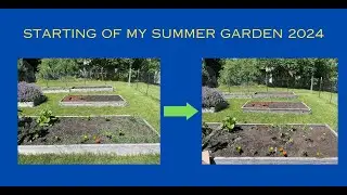 Starting of My Summer Garden 2024