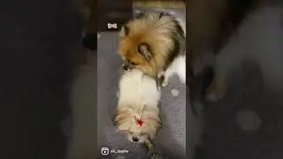Oh no! She’s his daughter 😮 