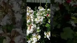 12 июля 2022 г.