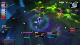 Perfection, EU Tarren Mill vs Desolate Host Mythic, Havoc DH PoV