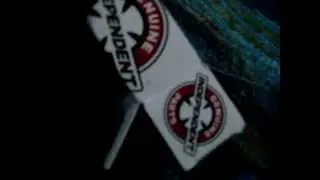 Independent Trucks  7/8  Allen Hardware screws