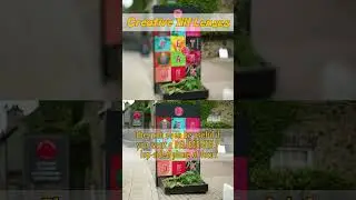 Tilting your lens...CRAZIFYING your images