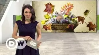 5 projetos fotográficos de sucesso | Especial Camarote.21