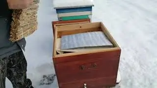 Winter control of humidity and food in beehives.