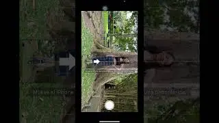Como tomar Fotos panorámicas con el celular