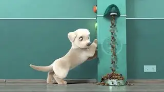 Мультфильм про собачку / Pip