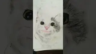Как вам? #белуга#мем#мемы#мемныекоты#котики#рисунки#рисование#арт#art#drawing