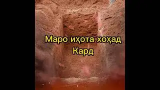 25 марта 2022 г.