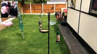 Bird Cam | Pigeon Hits the Bloody Window!!!!