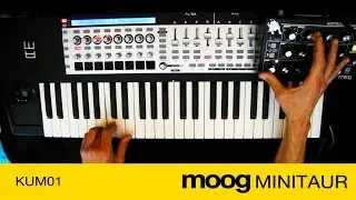 Moog Minitaur loves Delay (part 1)
