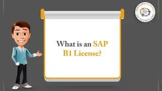 WHAT IS AN SAP BUSINESS ONE LICENSE AND HOW MANY SHOULD I BUY?