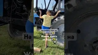 Жнива 2024 на мтз80🚜 #remix #summer #жнива #жнива2024 # #newmusic #мтз #мтз80 #мтз50 #белорус #село