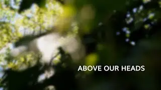 Above our Heads - Original Song (Lyric Video)