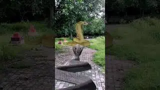 Khatarnak saamp ne kiya bacche per hamla dekhiae aage kya hua #Nag #shots #video #viral 🐍🐍