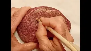CHRYSOGRAPHIE 