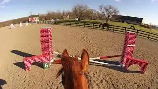 Mondeuse // Intro Show Jumping @ Hunt Club Farm 03162024