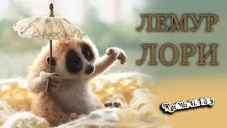 Лемур Лори с зонтиком))