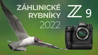Záhlinické rybníky - Jaro 2022