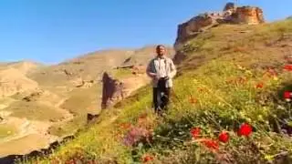 Seyfullah - Güzel Efendim - Orjinal Klip