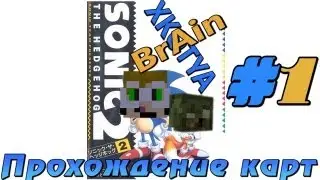 SONIC THE HEDGEHOG:Minecraft map "Котя и Брайн"