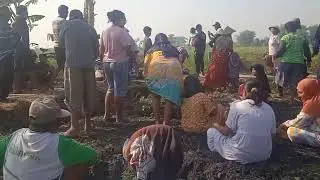 Desa ngadiboyo, Bancakan. ratan
