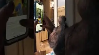 Viral Malaysia - Korang ingat korang hebat ke