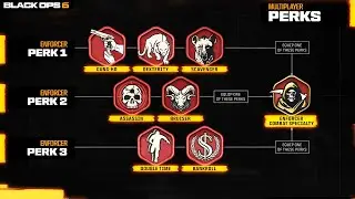 ALL BLACK OPS 6 MULTIPLAYER PERKS - BO6 LOADOUT SHOWCASE Red Blue Green Specialities