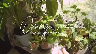 Будни мыловара 🪄Вязание банных шапок, пересадка новых цветов и тест восков для свечей ✨