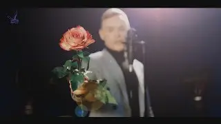 Поздравление С Международным женским днем! 8 Марта!