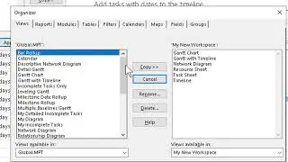 Using the Organizer in Microsoft Project