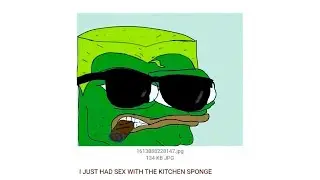I JUST HAD SEX WITH THE KITCHEN SPONGE