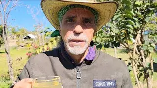 ADIÓS DOLOR DE GARGANTA