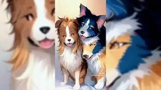 кызык видео 2023