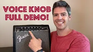3 Things That Will Help YOU Use The Voice Knob on the Fender Champion 20 (Review, Settings, Demo)