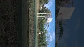 Untitled video