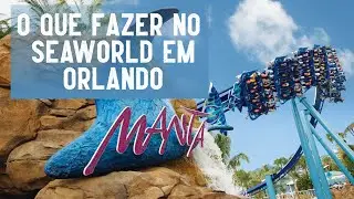 O que fazer no SeaWorld em Orlando
