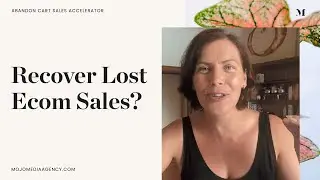 Ready To Maximise Your Online Sales WITHOUT Spending More Money?