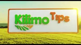 Blender in TV - Farming tips intro