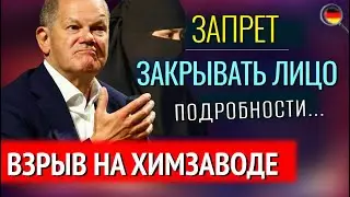 Работа для БЕЖЕНЦЕВ, ТЕРРАКТ в Германии, ЗАПРЕТ закрывать лицо, ВЗРЫВ на Химзаводе