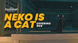 Neko is a Cat Offering Box | Genshin Impact